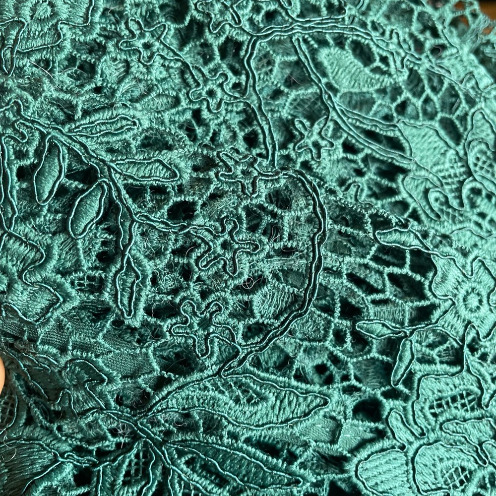 Self-Portrait green Lace Dress - Picture 12 of 12